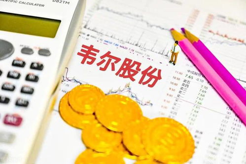 中國十大芯片概念龍頭公司概覽及其在電子產(chǎn)品研發(fā)與銷售中的作用