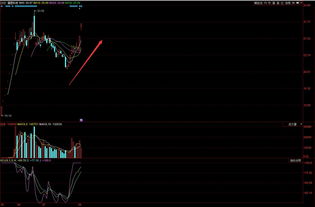 福蓉科技 構筑電子產品研發與銷售的雙輪驅動引擎